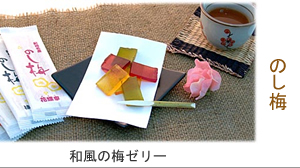 ▲紀州南高梅干通販専門店の和風菓子ののし梅